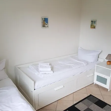 Heckenrose-5-eg-rechts *